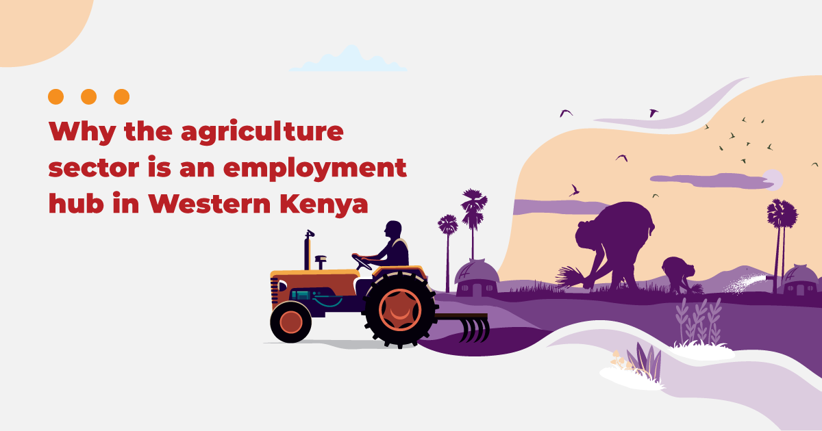 The Agriculture Sector & Youth Employment in Western Kenya